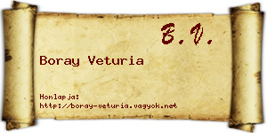 Boray Veturia névjegykártya
